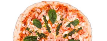 Amangiare Familiar (38 CM)