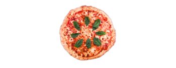 Margarita Individual De 16 CM